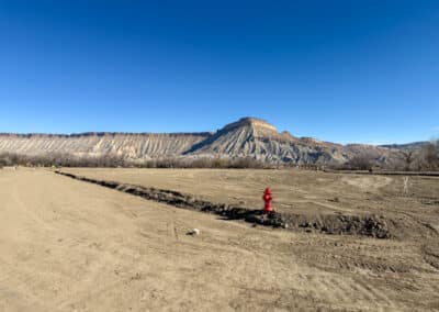 Palisade View